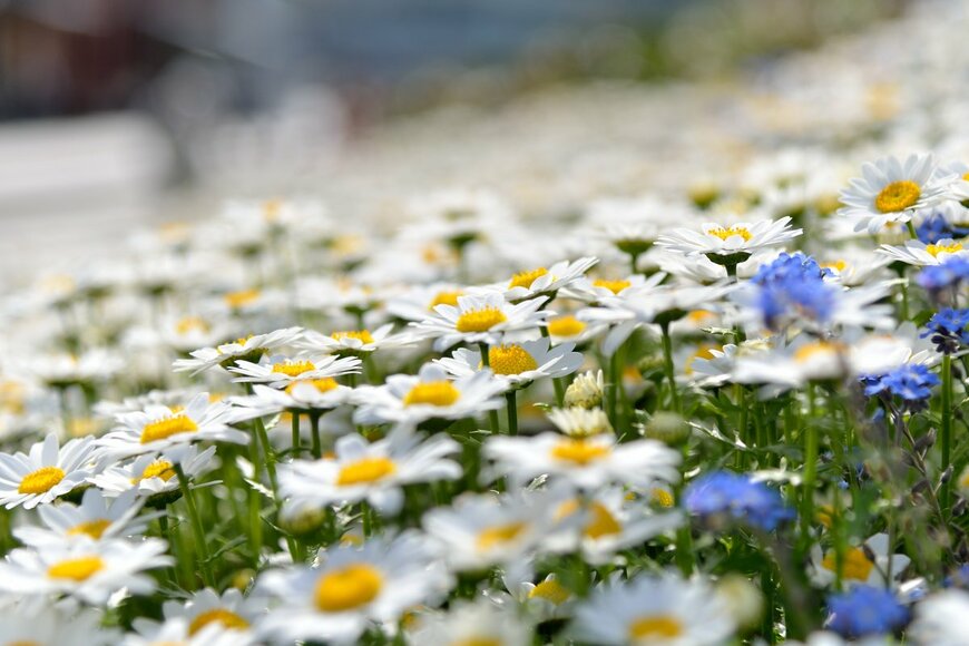 fpdress/Shutterstock.com