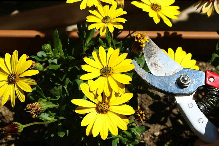 Aybarskr/Shutterstock.com