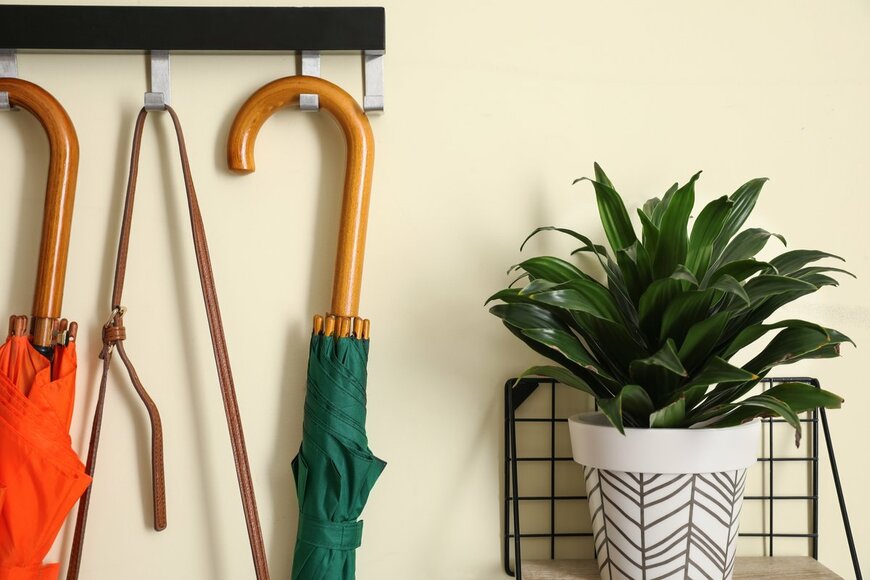 Pixel-Shot/shutterstock.com