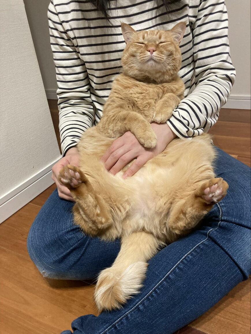 出所：@kagisuzu0531