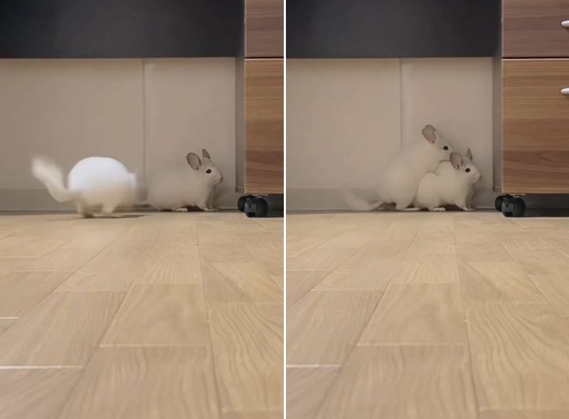 出所：@oisioisioi