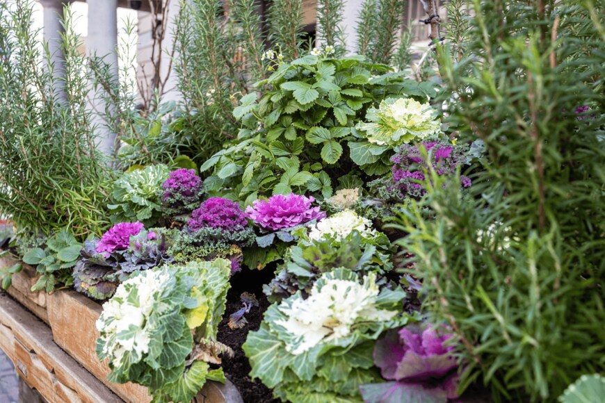 Elena Rostunova/shutterstock.com