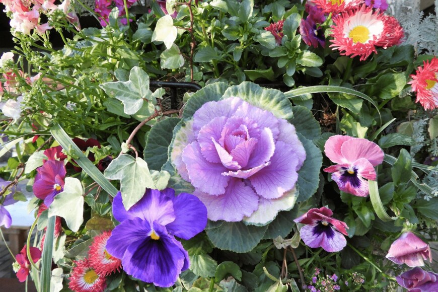 Chiemi Kumitani/istockphoto.com