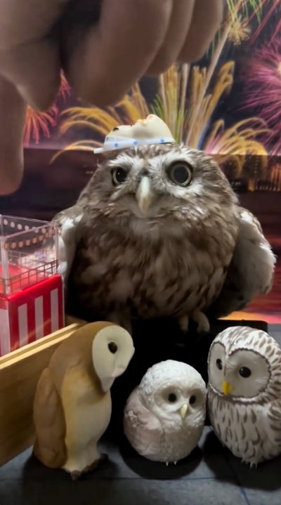 出所：@cr8673.hiro