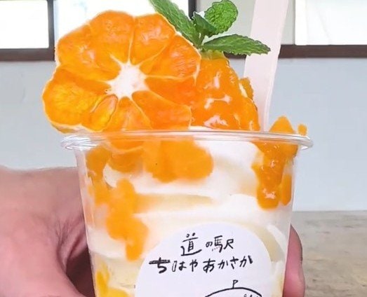 大阪の道の駅で見つけた「みかんソフト」とは？食感が変わる冷スイーツに「さっぱりしてる」「想像と違う味」