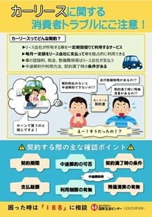 出所：独立行政法人国民生活センター「2024年度　65歳以上の消費生活相談の状況」