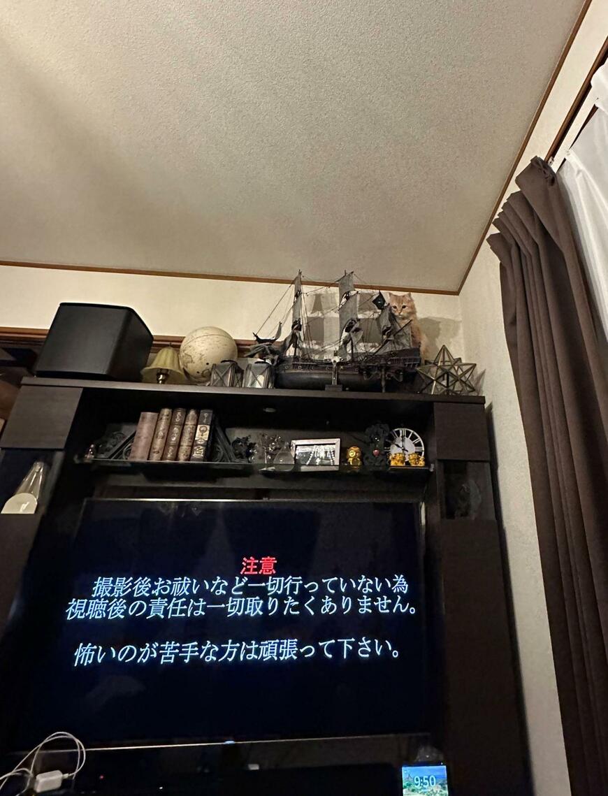 出所：@NEKOLAND13