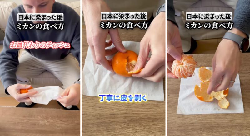 投稿動画のワンシーン