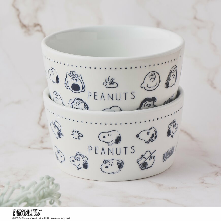 スヌーピー 磁器のボウル皿 豪華2個セット