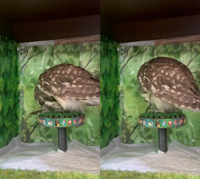 投稿動画のワンシーン