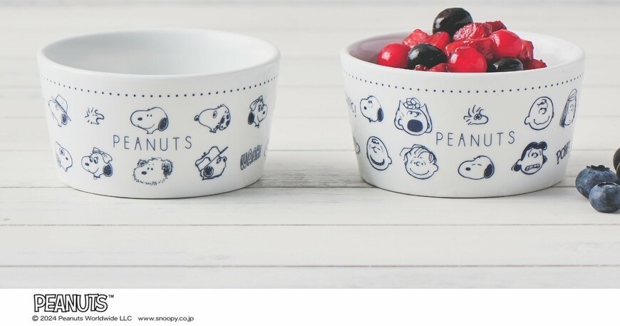 スヌーピー 磁器のボウル皿 豪華2個セット