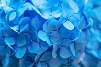 6月支給分から増える！【年金生活者支援給付金】2カ月に1度もらえる給付金「支給要件・給付額・申請方法」は？？