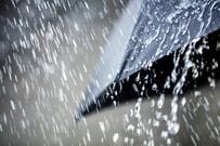 「本当にヤバいですね」雨の沖縄で起きた“予想外の事態”が注目の的に「スゴい！」