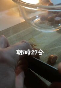 50歳母による「高校生弁当」が話題　コロンとかわいいおにぎり弁当が美味しそう！