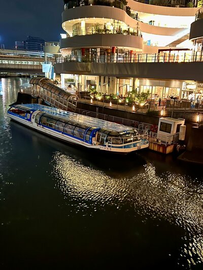 夜のシーバス