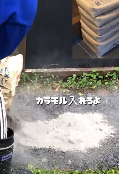 投稿動画のワンシーン
