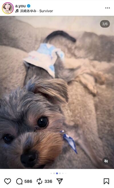 浜崎あゆみのInstagram投稿