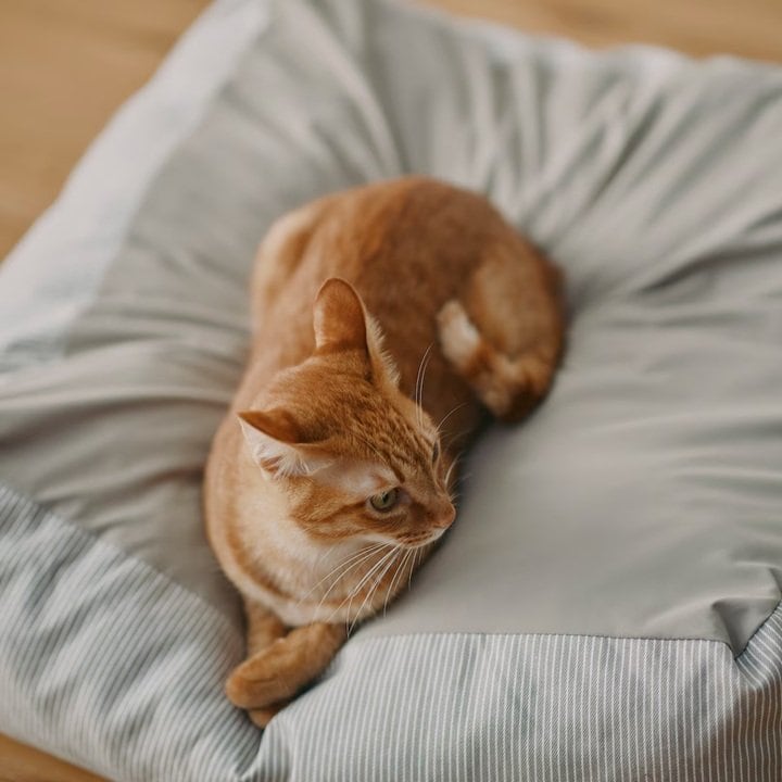 画像出所：無印良品公式オンラインストア