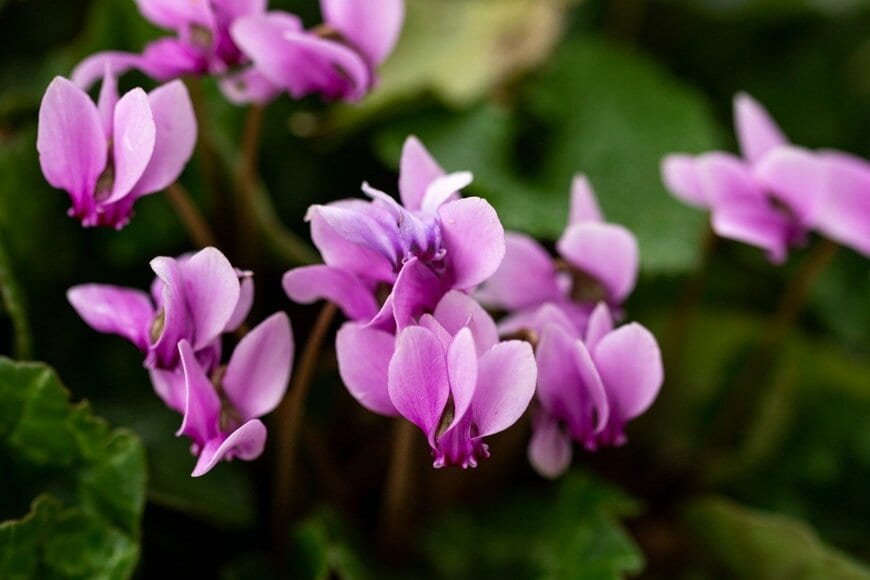 Maksims Grigorjevs/istockphoto.com