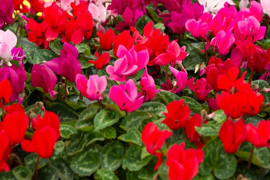 Travel Faery/istockphoto.com