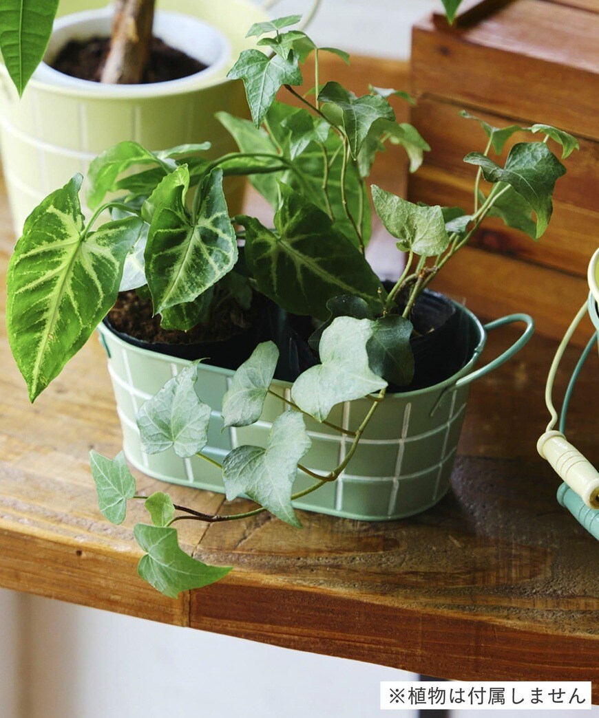 出所：パルグループ公式ファッション通販サイト