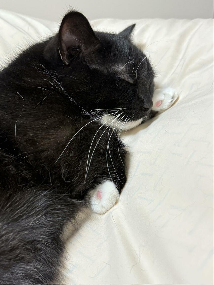 出所：@unicouniuni3