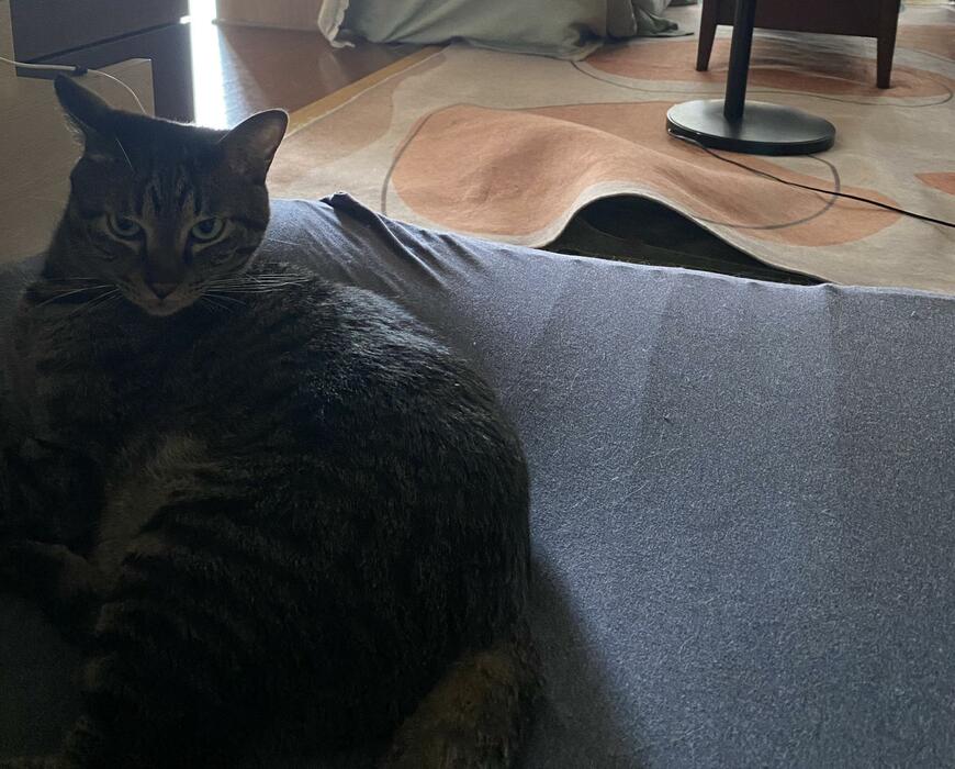 出所：@00shitemita