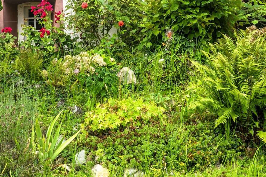 scaliger/istockphoto.com