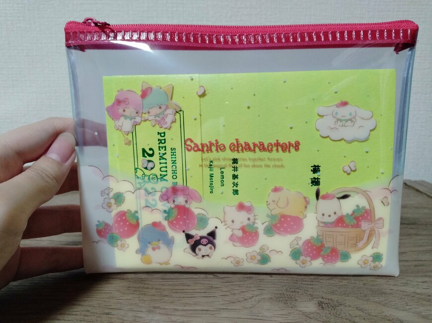 筆者撮影（セリア、フラットポーチ M/X いちご　27217）