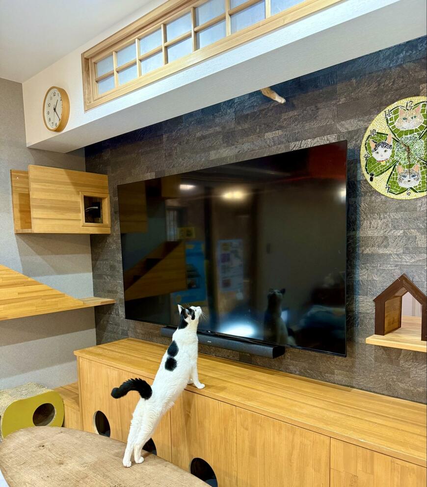 出所：@omochi_nam01