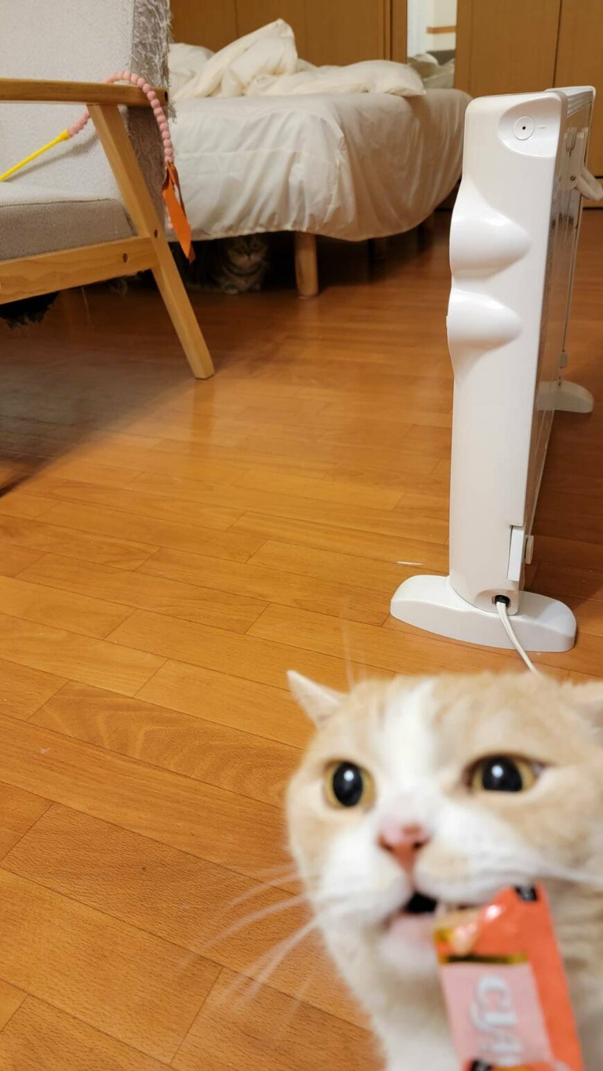 出所：@nekotansoku