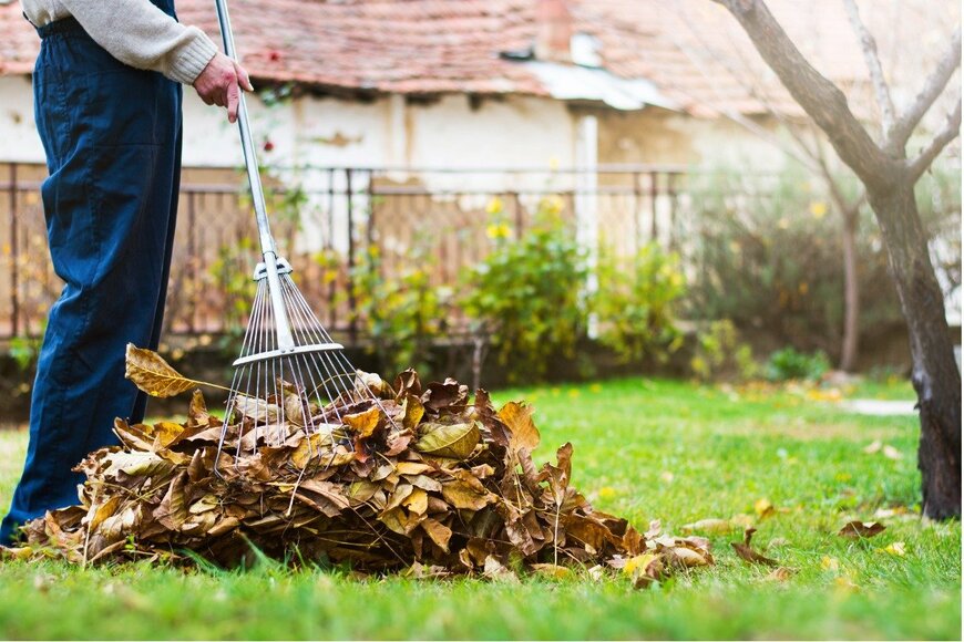 Creative-Family/istockphoto.com