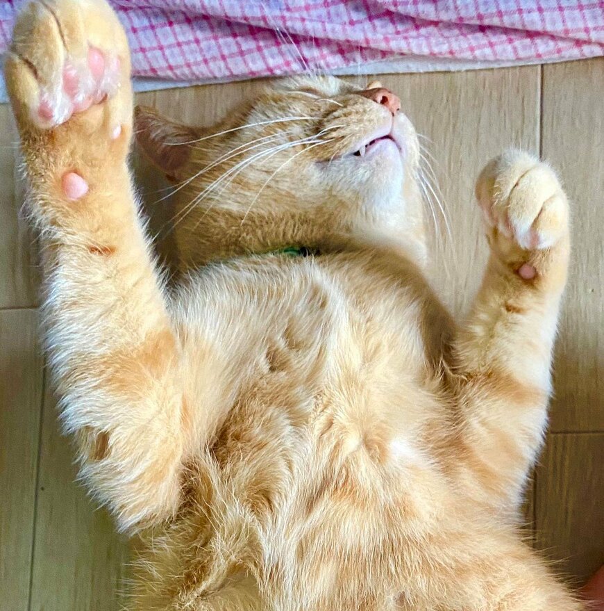 出所：@luna7taka9