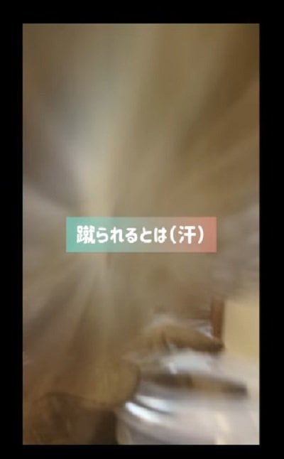 出所:@mori_luna_tawny_owl
