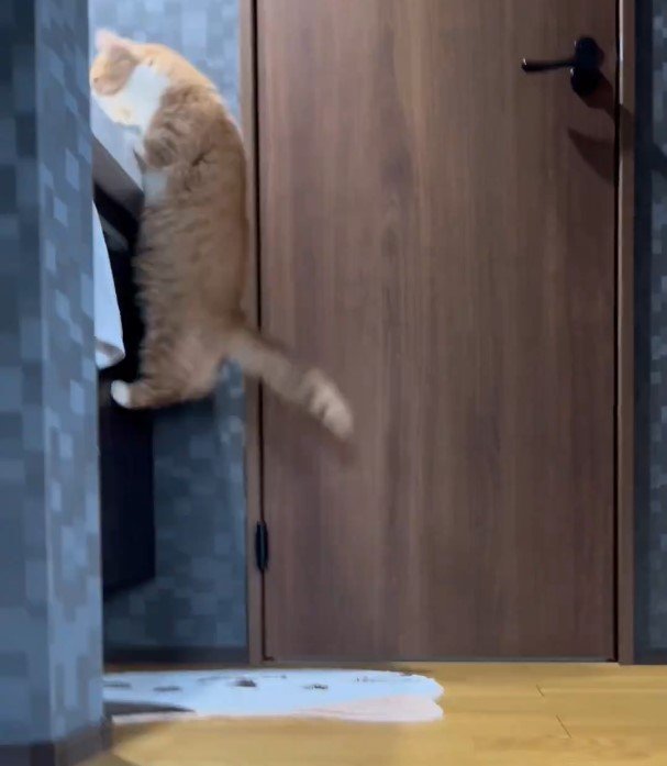 出所：@kotaro_0315