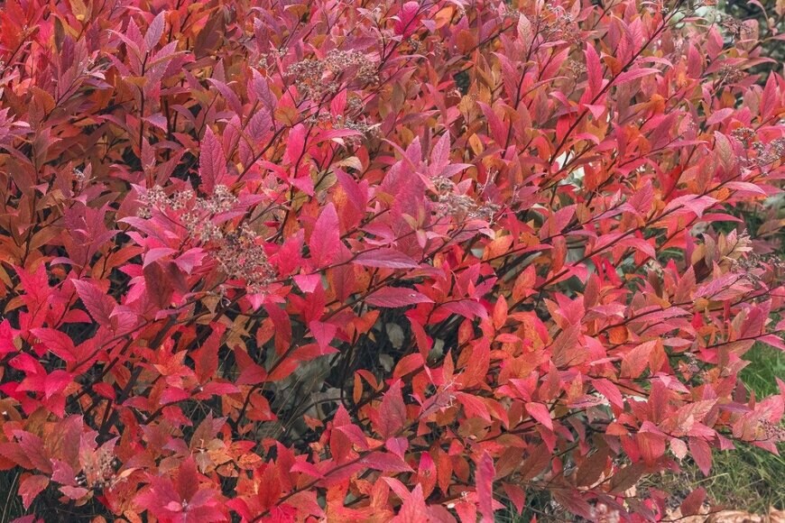 Anney_Lier/istockphoto.com