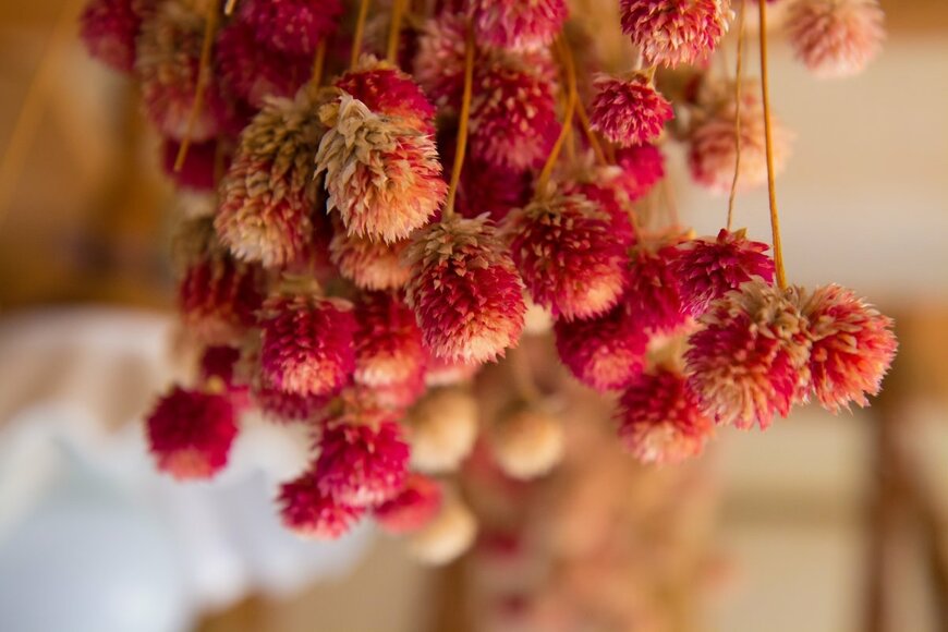 SJLEE/shutterstock.com