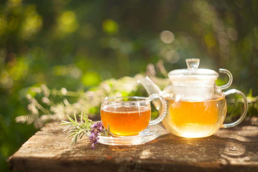 Nikolaeva Galina/Shutterstock.com