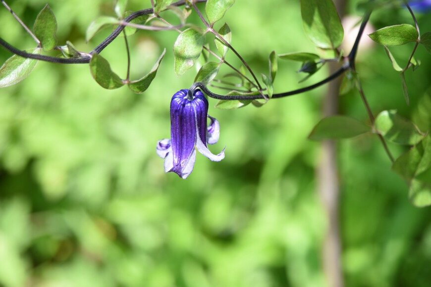 undefined undefined/istockphoto.com