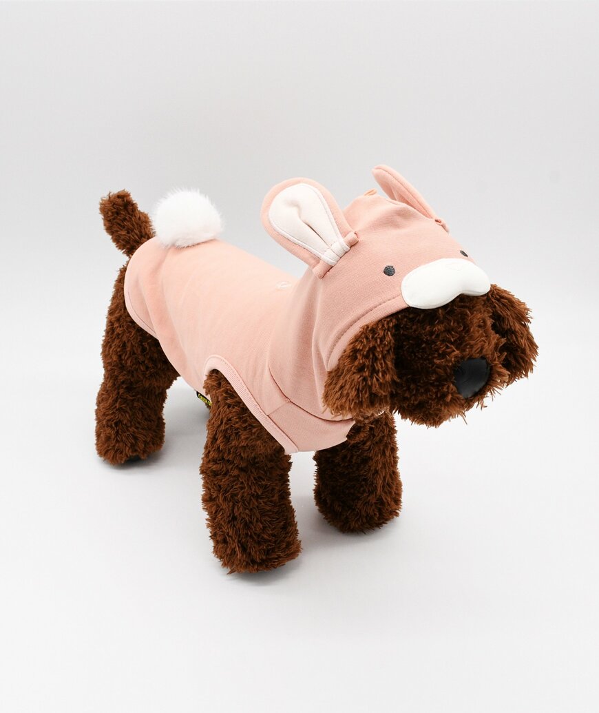 出所：イオン株式会社　着ぐるみシリーズ