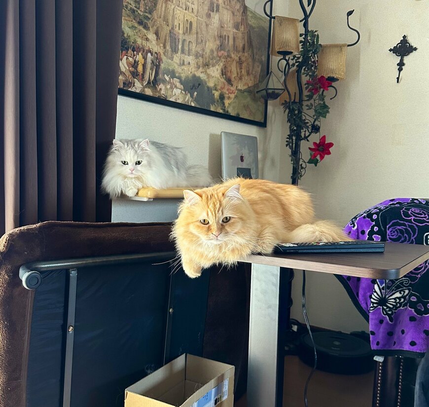 出所：@NEKOLAND13