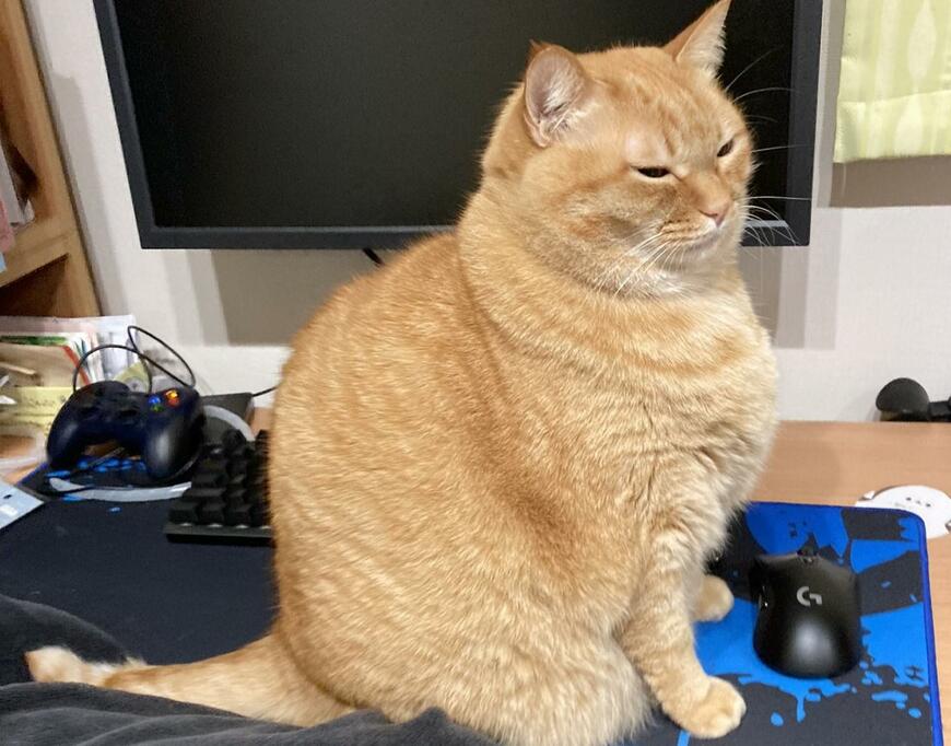 出所：@kagisuzu0531