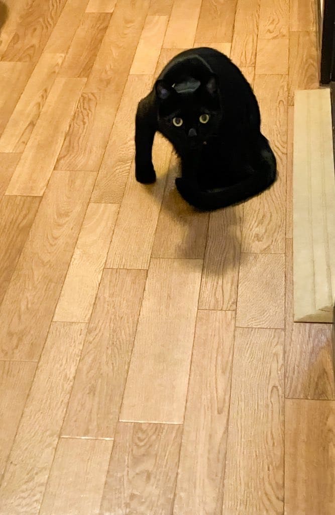 出所：@house_yamato