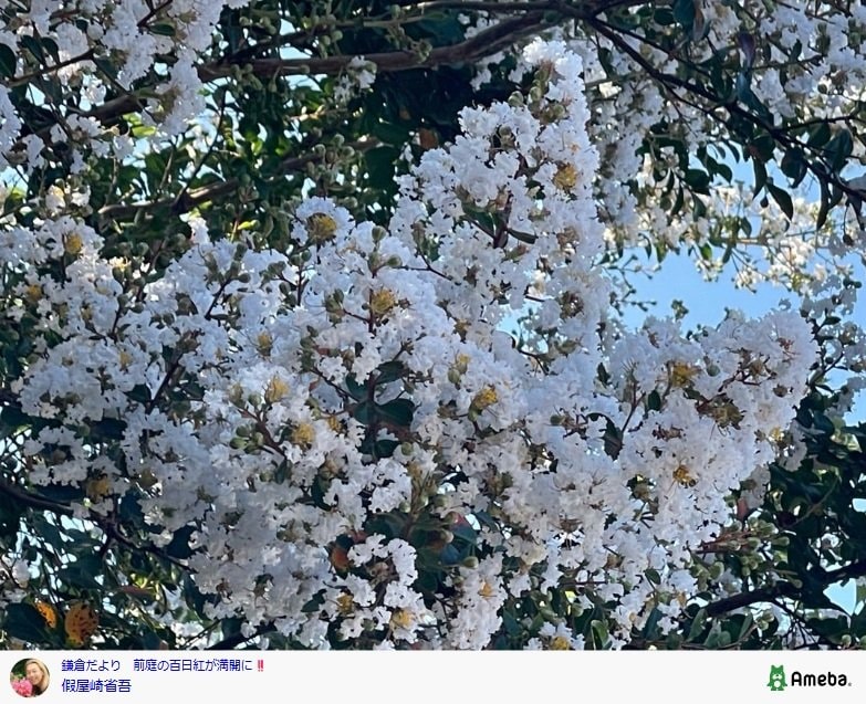 假屋崎省吾のAmebaブログ投稿