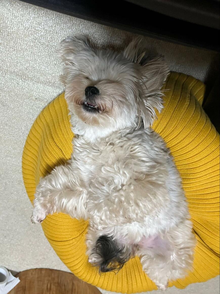 ギャップのある寝顔