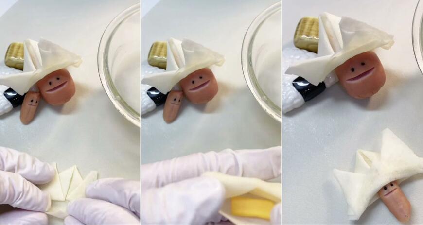 投稿動画のワンシーン