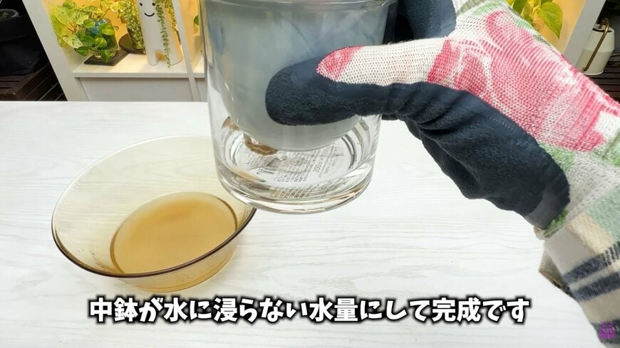 ダイソー THREEPPYの底面吸水鉢・陶器＆ガラス製自動給水プランターの水の量