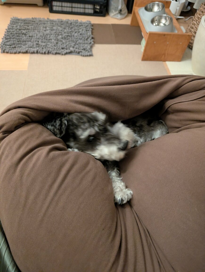 ヨギボーにのみこまれる瞬間