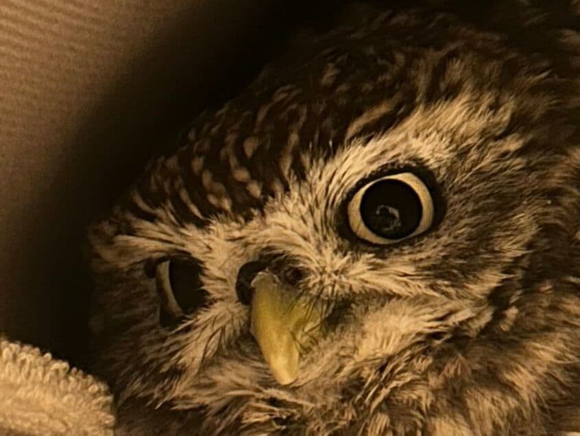 投稿写真のワンシーン