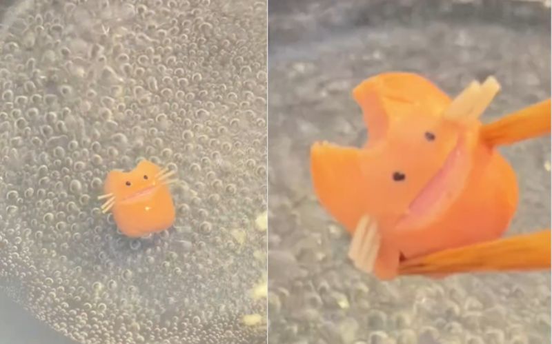 投稿動画のワンシーン